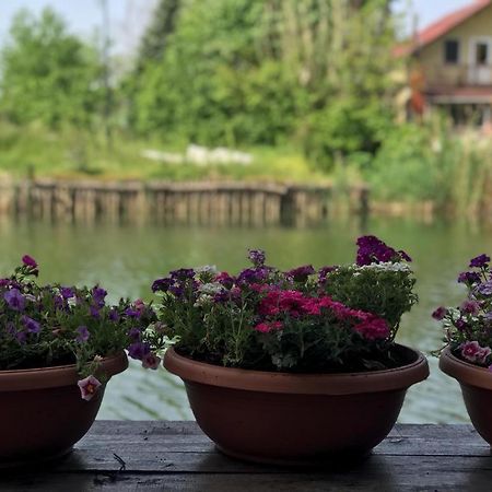 Agva Sweet Home River Hotel Kültér fotó