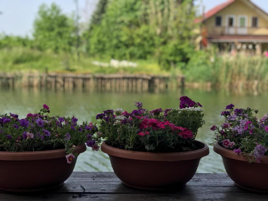 Agva Sweet Home River Hotel Kültér fotó