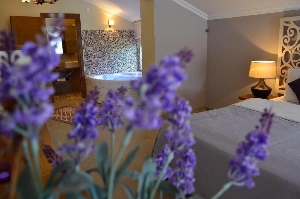 Agva Sweet Home River Hotel Kültér fotó